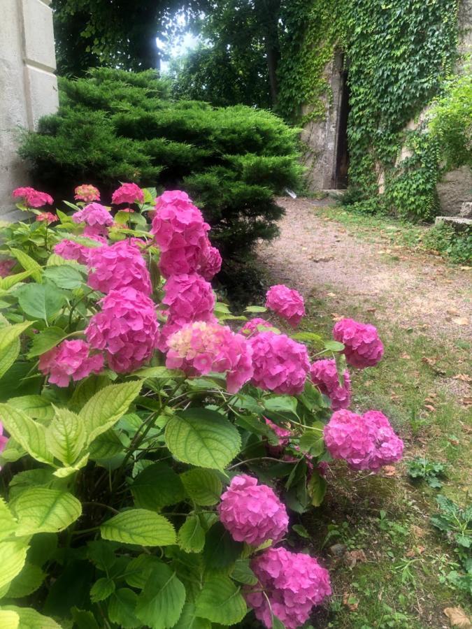 Demeure Des Payratons Bed and Breakfast Saint-Gerand-le-Puy Buitenkant foto