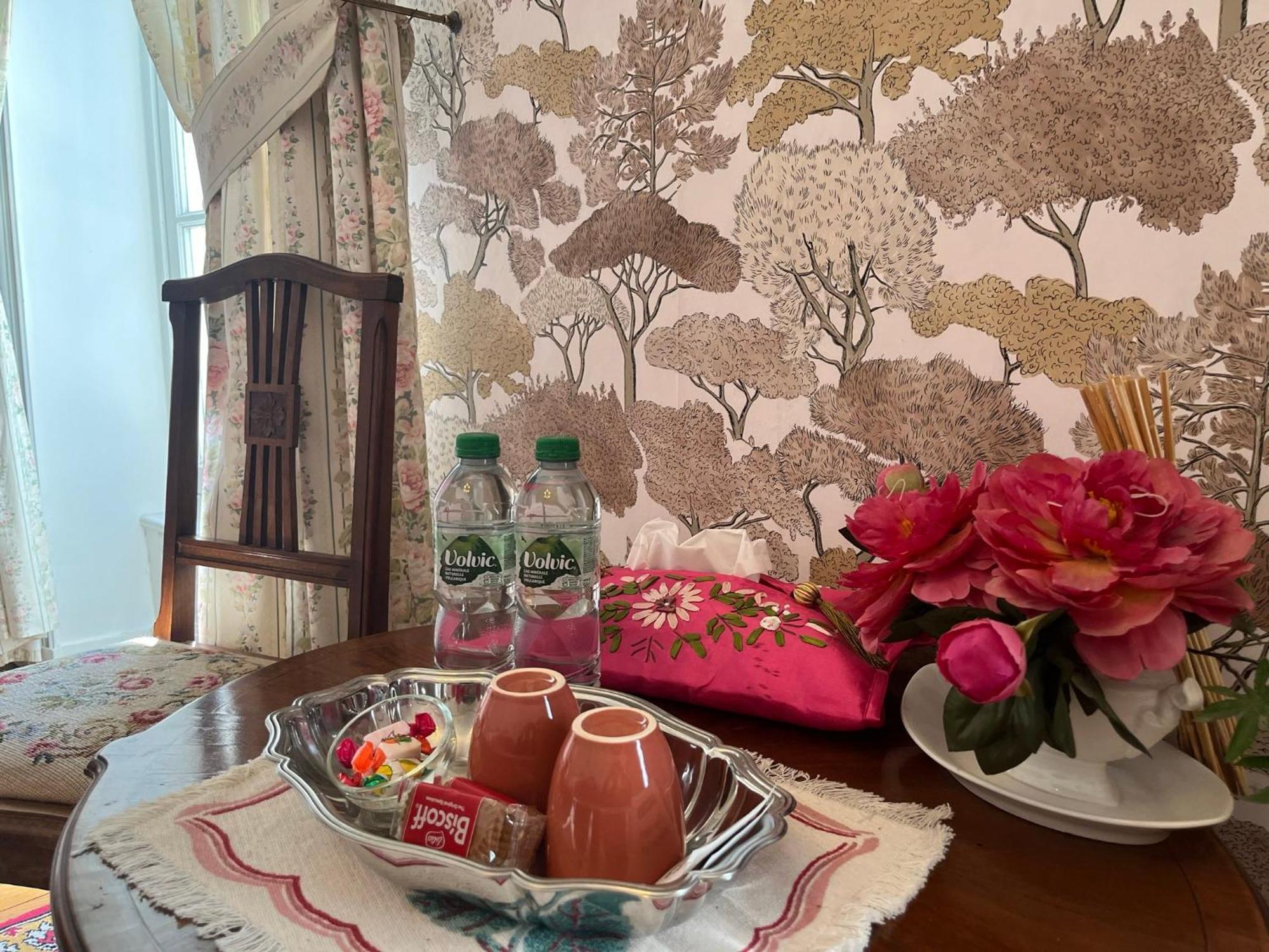 Demeure Des Payratons Bed and Breakfast Saint-Gerand-le-Puy Buitenkant foto